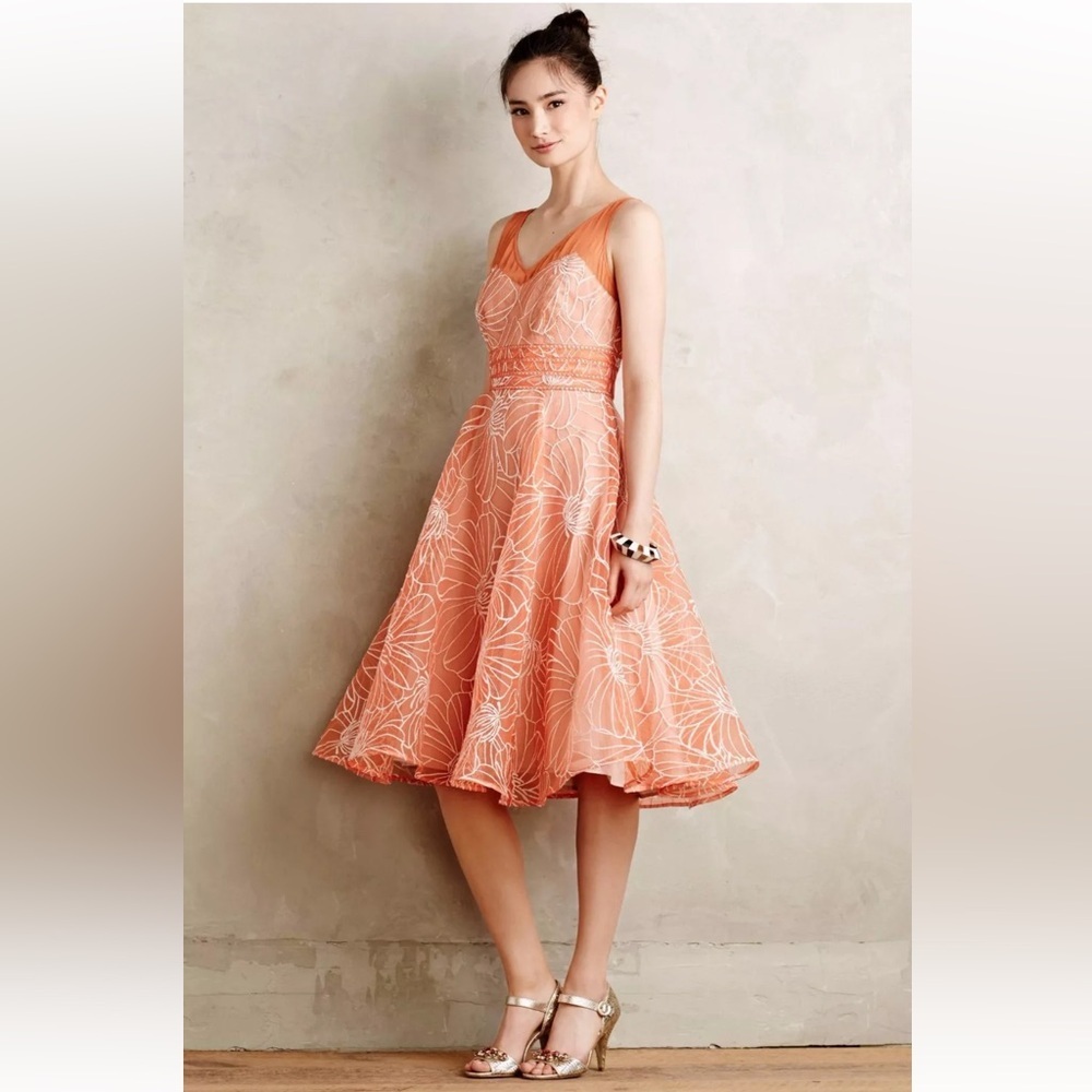 Anthropologie Calendula Dress by Moulinette Soeurs Organza Floral Sz 6 Spring!